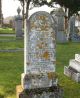 Photo of headstones/thumb_Annie MacLennan (Gordon) died 1921 MI Fodderty